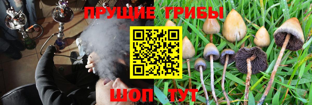 Псилоцибиновые грибы Psilocybe  Вход с VPN  купить наркотики сайты  Топки 